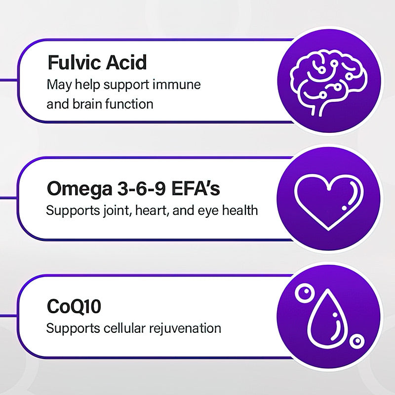 Immuno 150 Immune Support Supplement